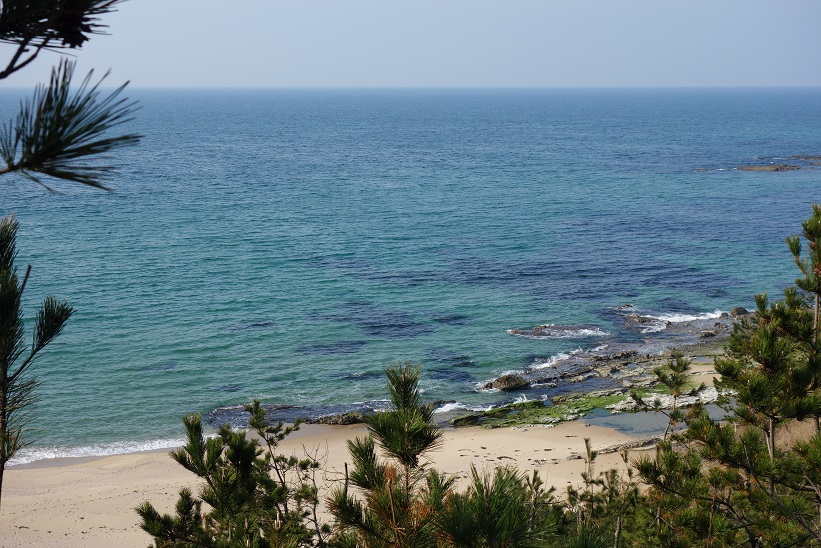 病院の裏山から望む琴引ガ浜と日本海（３月３０日撮影） 